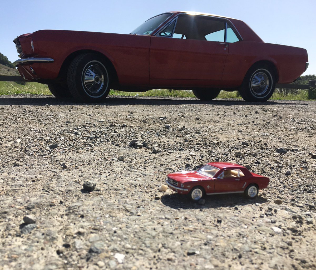 jamessime's tweet photo. Happy Six Five! Here’s my ‘65 Mustang and the little one that lives in the glove box. #65mustang #classicstangs #vintagestangs #classiccars https://t.co/uAmTSR9Y9d