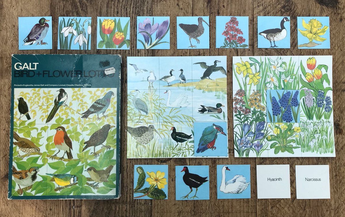 Ellie Tennant (@ellie_tennant) on Twitter photo Found this beautiful vintage Bird + Flower Lotto game today in a charity shop for £1 - wish <a href="/GaltToys/">Galt Toys</a> would team up with <a href="/nationaltrust/">National Trust</a> to re-release these lovely nature games for kids <a href="/RobGMacfarlane/">Robert Macfarlane</a> <a href="/ChrisGPackham/">Chris Packham</a> Found this beautiful vintage Bird + Flower Lotto game today in a charity shop for £1 - wish <a href="/GaltToys/">Galt Toys</a> would team up with <a href="/nationaltrust/">National Trust</a> to re-release these lovely nature games for kids <a href="/RobGMacfarlane/">Robert Macfarlane</a> <a href="/ChrisGPackham/">Chris Packham</a>