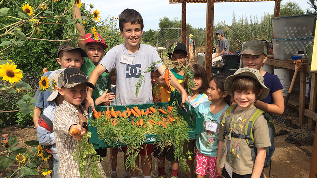 SacCropmobster's tweet photo. Little Sprouts Summer Day Camp https://t.co/NFEet0fN4I https://t.co/BS7uta2Q90