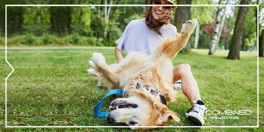 directedheatnow's tweet photo. Lyme disease diagnoses are on the uptick, and even urban dwellers who frequent green spaces need to be on the lookout. More in Combined's latest #CombinedCareTips blog post: https://t.co/gErB208Tzw https://t.co/bZAGJU8iVU