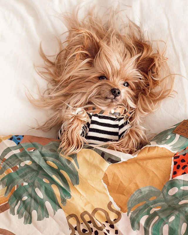 williecute's tweet photo. Nappy hour 🤗.
.
.
#williexnicedigs .
Shop the link in our bio for a @nicedigs discount! https://t.co/iQ9776ejow