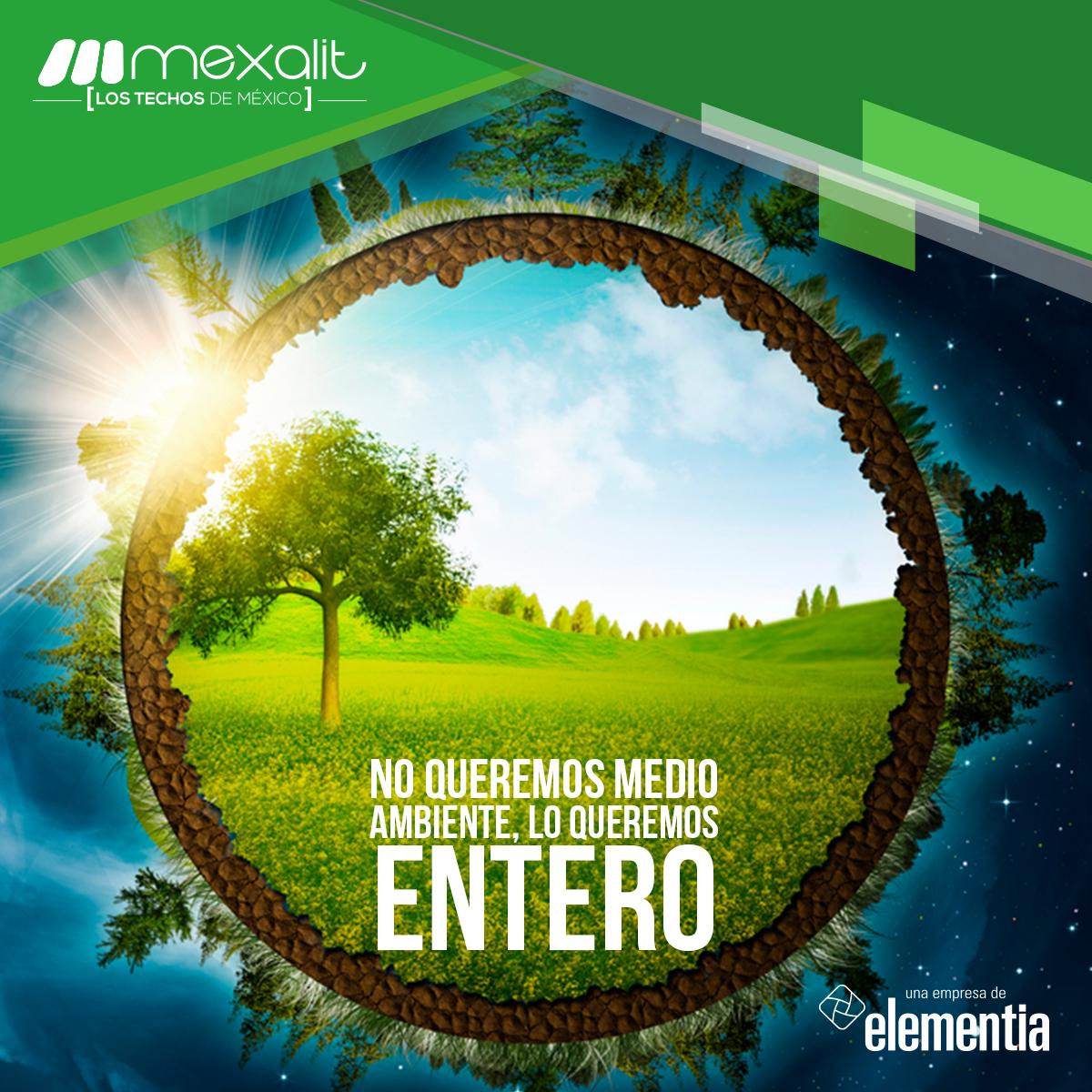 MexalitMX's tweet photo. ¿Sabías que? Nuestros techos de fibrocemento están libres de materias primas tóxicas #MexalitVerde #DíaMundialDelMedioAmbiente https://t.co/EGdKCDTpyv