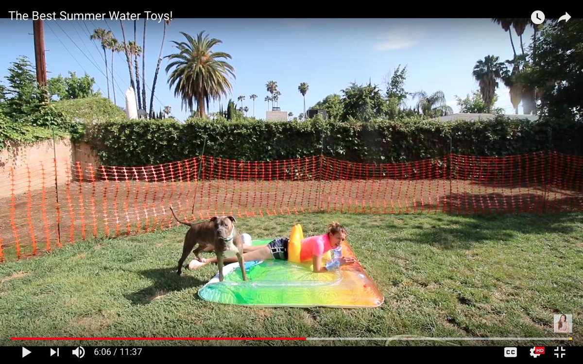 FriendsKenzie's tweet photo. @MissRBaller this was my fav part of he video! Love you! 🥰😁 https://t.co/afB38FKCWy