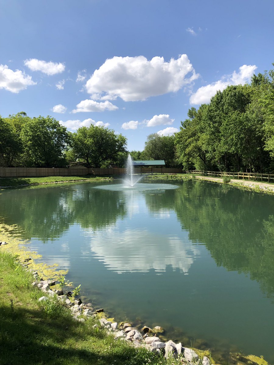 thehandlebardc's tweet photo. It sure feels like summer has started today, and soon you will be able to join us here! #thehandlebardc #32taps #scratchfood #bikeiowa #craftbeer #fountain https://t.co/JEDxufCMmF
