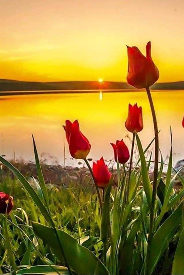 ♡오늘도나에게긍정주문♡
1.반짝이는 뇌를 유지하자.
2.즐거운 생각을 유지하자.
3.생기있는 표정을 유지하자.
4.건강한 신체를 유지하자.
5.감사하는 마음을 유지하자.
6.따뜻한 감성을 유지하자.
7.아름다운 언어를 유지하자.
8.항상 사랑함을 유지하자.