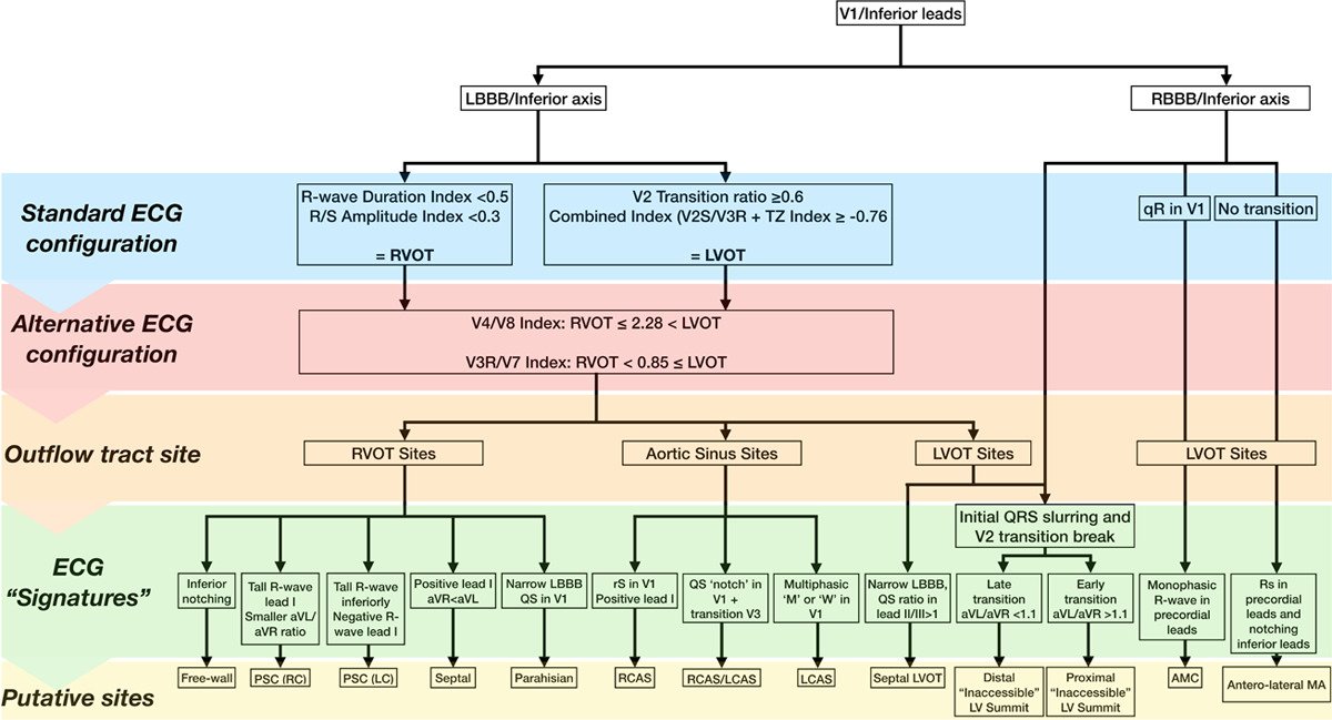 How does the surface ECG help localise outflow tract arrhythmias? This recent review in <a href="/CirculationEP/">CircEP</a> summarises the predictive value of '12-lead' algorithms and identifies alternative ECG configurations that may improve diagnostic accuracy. #EPeeps ahajournals.org/doi/full/10.11…