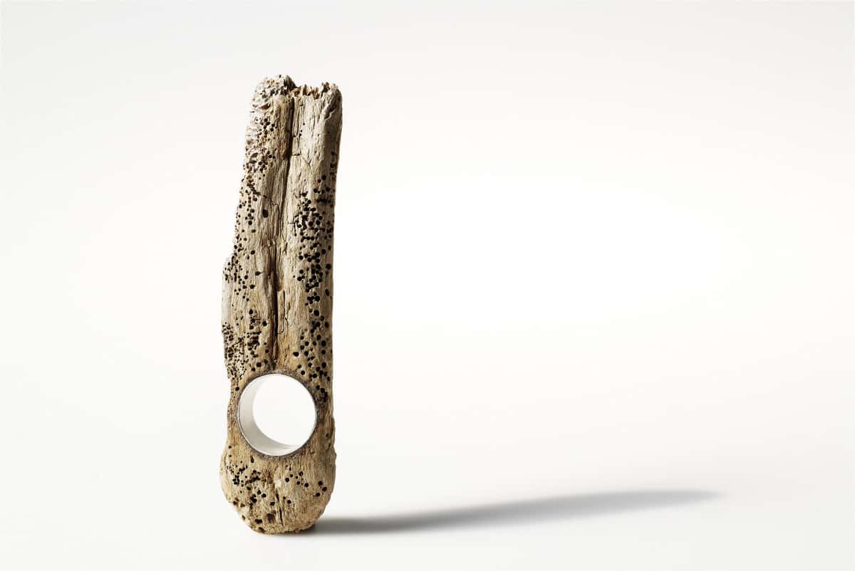 garlandmag's tweet photo. To our dear insect friends...
In Japan today they celebrate the Buddhist festival of Mushi Kuyo, where services are held in memory of the many insects that lose their lives during the local rice harvest.
#livingcraft #secondhome
Ring by Martina Dempf
Martina Dempf, Finger of God https://t.co/yYmAMcsrKF