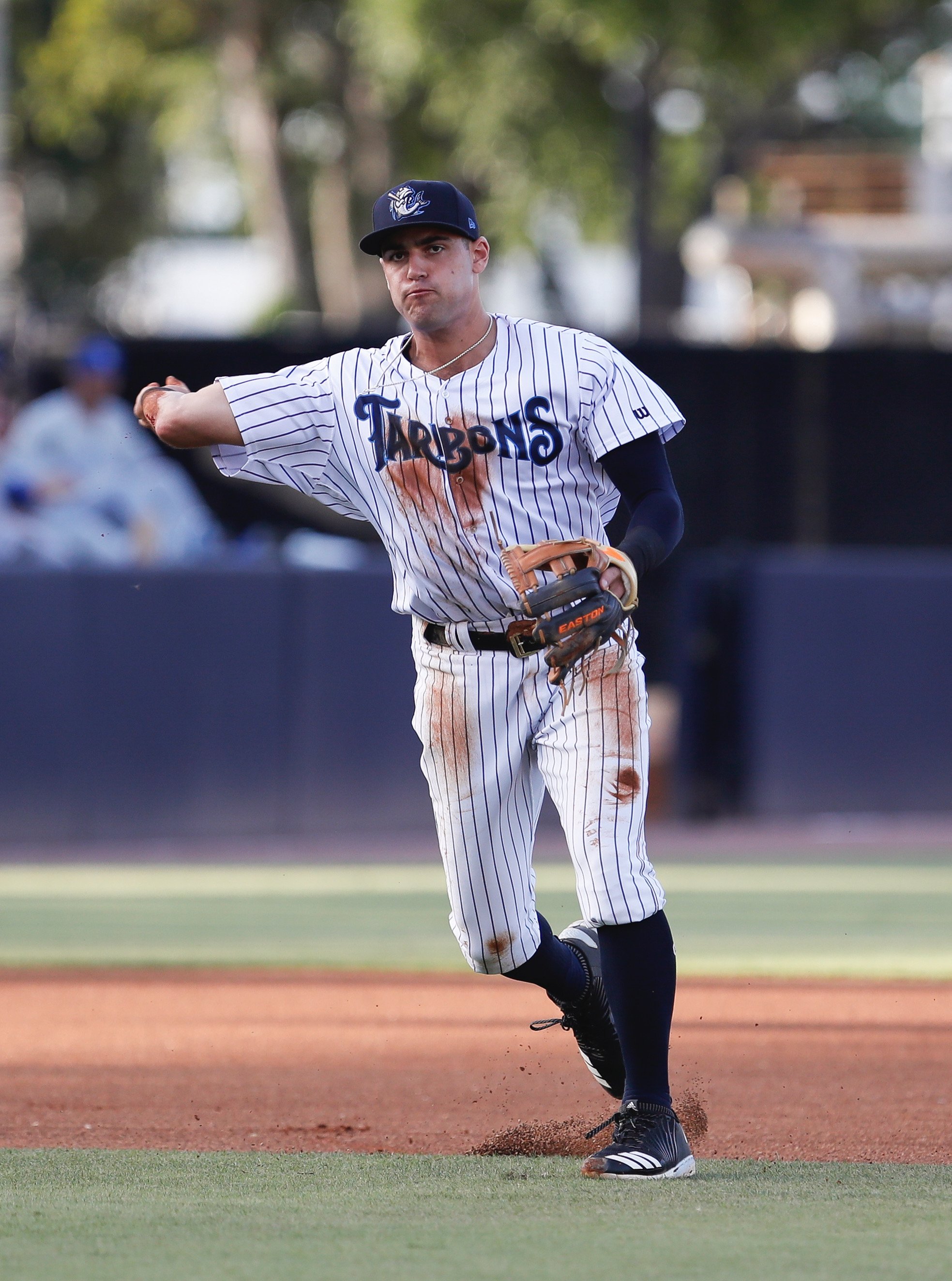 adam ottavino northeastern