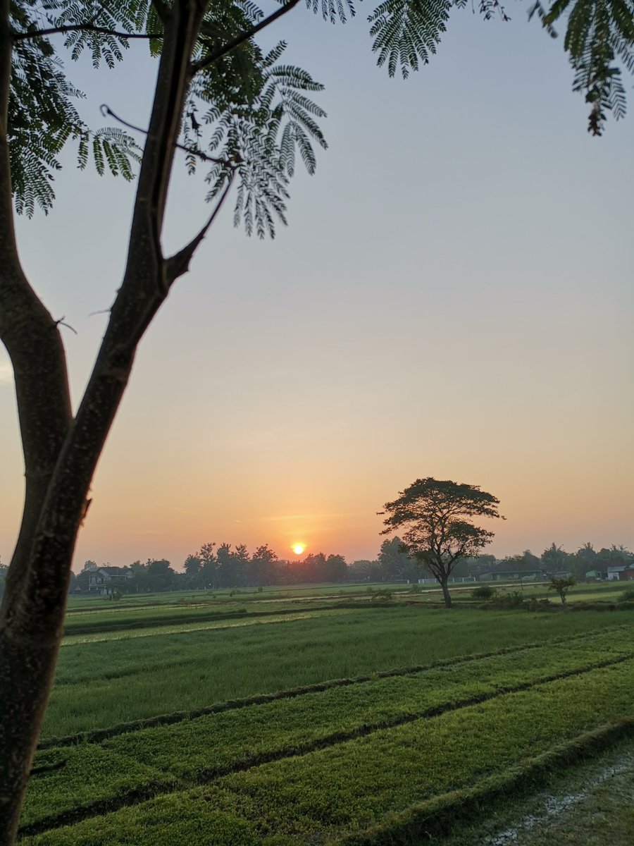 Jogonalan Tagged Tweets And Downloader Twipu