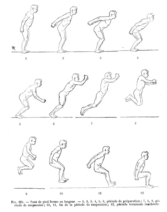 19世紀末〜20世紀初頭に出版された美術解剖学の教科書を見ていると当時の著者たちの熱気を強く感じる。コピー&ペーストではなく、新しい人体の形や見方を探索し、発見し、領域を広げていこうとする熱気である。 