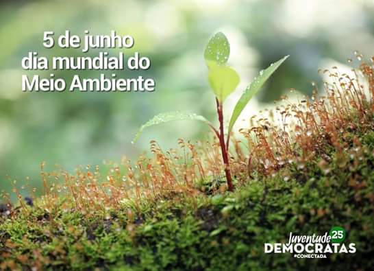 jdembarueri's tweet photo. No #DiaMundialDoMeioAmbiente, convidamos a todos a repensarem a forma com que interagimos com o mesmo e se estamos contribuindo para sua manutenção.
Temos uma grande responsabilidade, e estamos na luta pela preservação e defesa da natureza.
#JDEM #DEM25 #Barueri #Democratas https://t.co/cHNwlvfxJr
