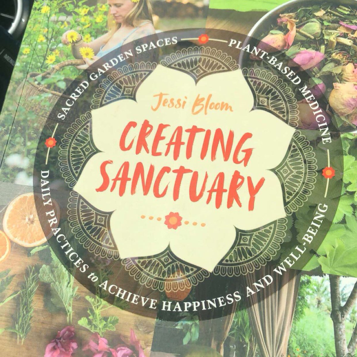 Got to the bookstore today which never happens! Looking so forward to this book #CreatingSanctuary by <a href="/jessibloom/">Jessi Bloom</a> ! Happy #WorldEnvironmentDay
