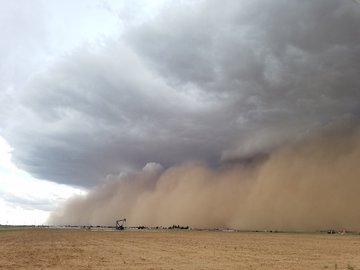 View image on Twitter