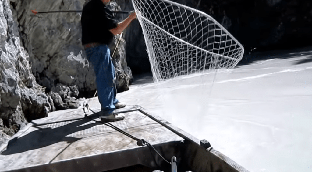 FishTheCopper's tweet image. Copper River Personal Use Dip Net Salmon Fishing Schedule: June 10th – June 16th fishthecopper.com/copper-river-p…