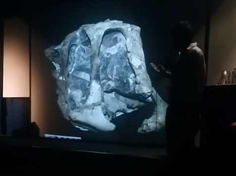 AdrielGentil's tweet photo. Hoy tuvimos conferencias en el Museo Argentino de Ciencias Naturales, organizadas por el @LACEV_MACN. Si te interesa, los videos están subidos en la pagina de FB del Lacev

#dinosaurs #mamals #mesozoic #Argentina #paleontology #paleontología #dinosaurios https://t.co/UvISsmetIc