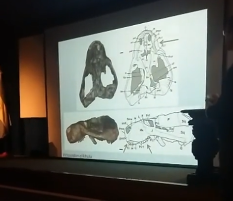 AdrielGentil's tweet photo. Hoy tuvimos conferencias en el Museo Argentino de Ciencias Naturales, organizadas por el @LACEV_MACN. Si te interesa, los videos están subidos en la pagina de FB del Lacev

#dinosaurs #mamals #mesozoic #Argentina #paleontology #paleontología #dinosaurios https://t.co/UvISsmetIc