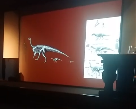 AdrielGentil's tweet photo. Hoy tuvimos conferencias en el Museo Argentino de Ciencias Naturales, organizadas por el @LACEV_MACN. Si te interesa, los videos están subidos en la pagina de FB del Lacev

#dinosaurs #mamals #mesozoic #Argentina #paleontology #paleontología #dinosaurios https://t.co/UvISsmetIc