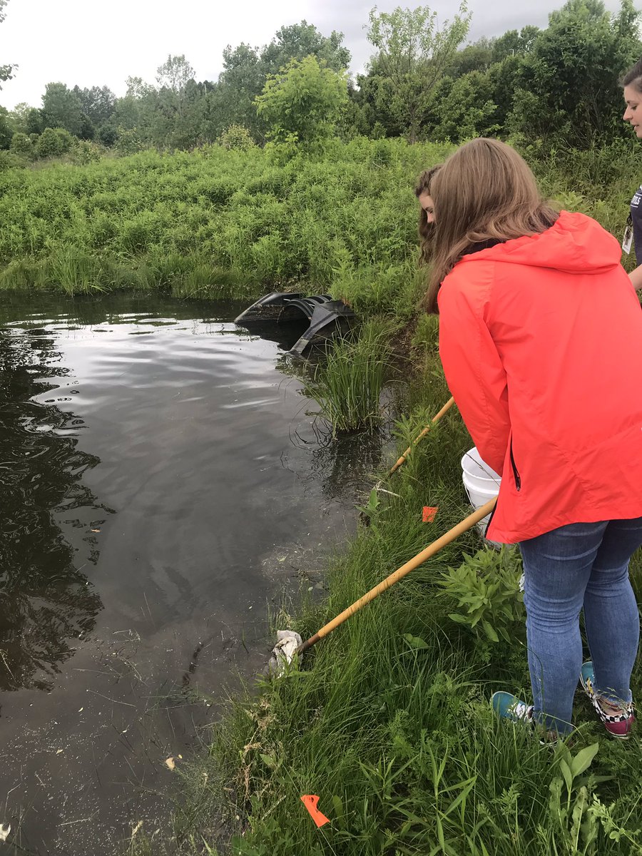 Miss_French_'s tweet image. Pulling out the leaf litter bags in preparation for tomorrow’s activity with @mazettlemoyer #whoseready #glcs #glcshs #macroinvertebrates #biologyb