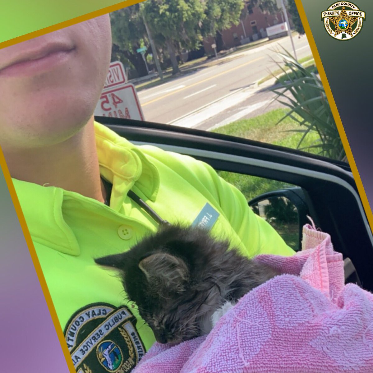 ccsofl's tweet photo. One of the newest editions to our sheriff’s office family is “Leo” the kitten. Leo was rescued by PSA Fryer and adopted by PST Dunlap. So far he is loving his new home. #OptToAdopt #MeowNow #CCSOFL https://t.co/8sfiS54VDw
