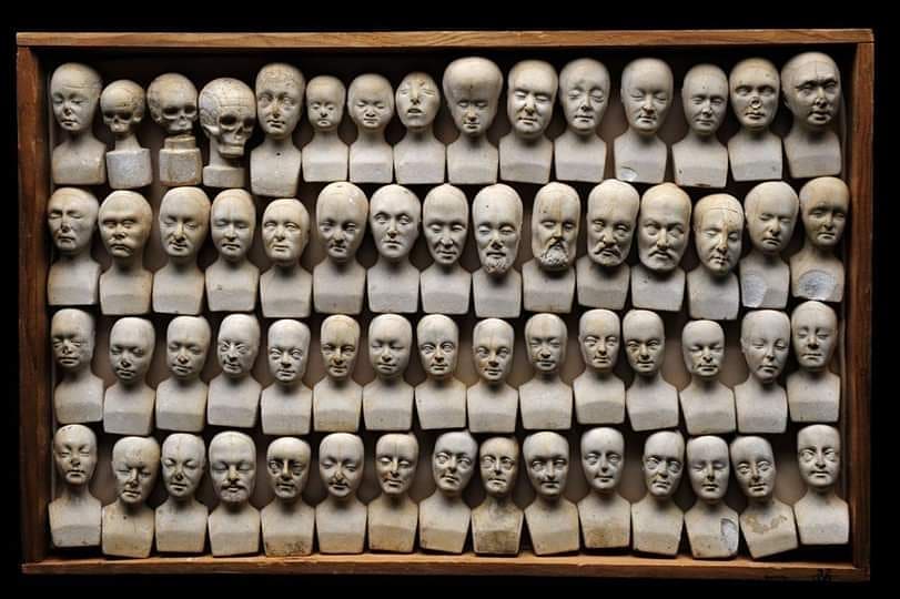 Earthenware models of human heads used in Phrenology, manufactured in Manchester, England, 1831