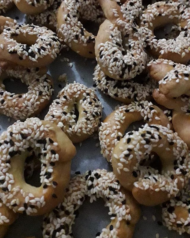 tuzlupasta بحث في تويتر