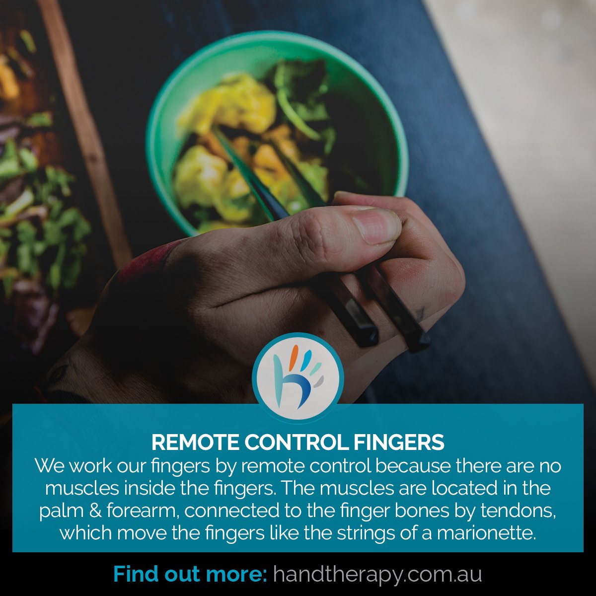 Did you know you use your fingers via remote control
#handtherapy #tips #health #handtherapist #physiotherapy #hand