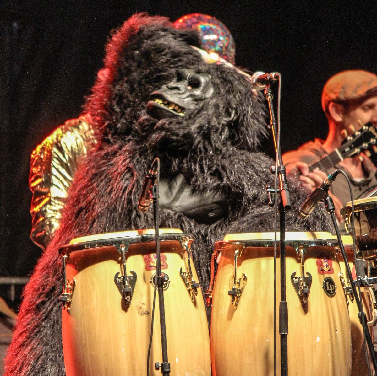 They're 8 men who travel with a closet of costumes and an arsenal of instruments. After 5 albums and a decade of touring, we are honoured that Five Alarm Funk is coming back for Wild Mountain 2019!