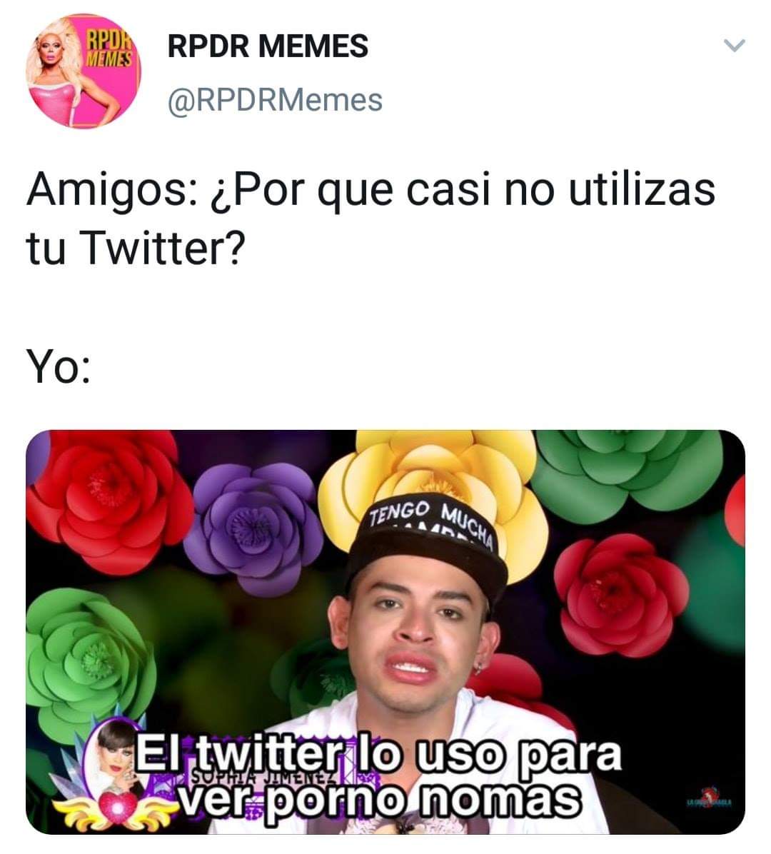 AvocadoPaisa's tweet photo. https://t.co/NL6i0DOlgh