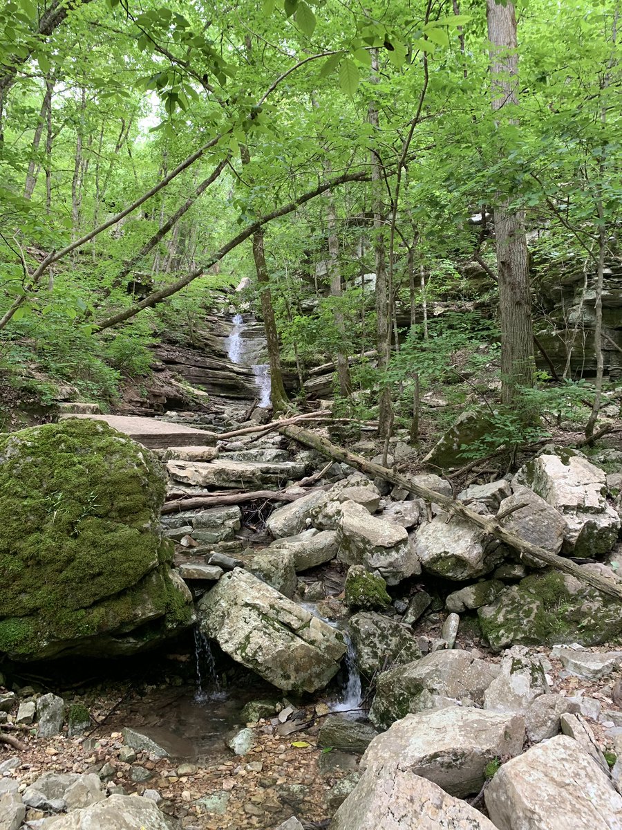 BenBlankenship's tweet image. I really hope everyone that reads this has a good #Thursday ahead, in whatever you do.  Be Kind, compassionate, and kick some a** too! (Same 4 me).  
#Workforce #WorkAndLife #Love #Heart #Share #Positivity #PositiveThoughts #VO #BeKind #Leadership