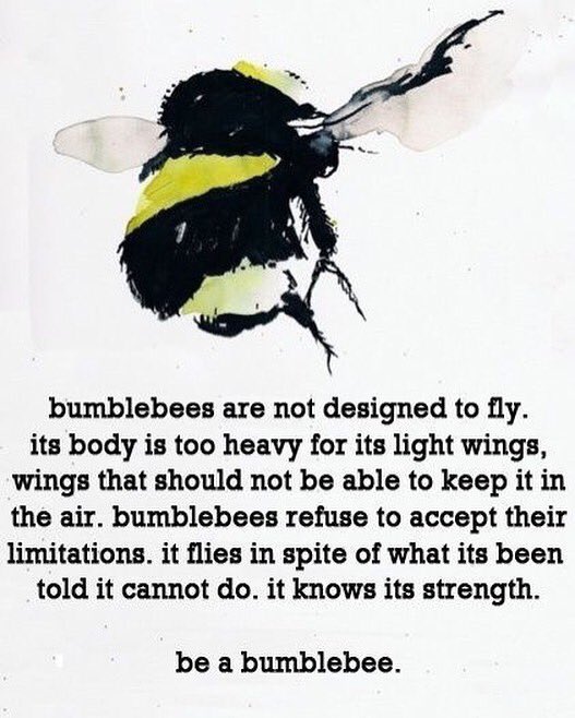 nitzalg's tweet image. This is an interesting details of BUMBLEBEES. @RRyellowteam19 , @ProgramTeam2019