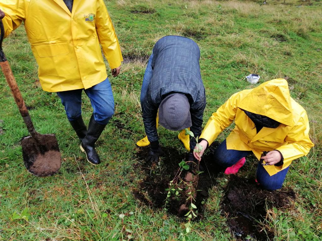 elecaustro's tweet photo. HOY / Participamos de la Minga de Siembra de Plantas en la Cuenca del Río Machángara, con el apoyo de gente de la comunidad y varias instituciones se sembraron más de 1000 plantas nativas del páramo #DíaMundialDelAmbienteEC https://t.co/1ywESvgXJQ