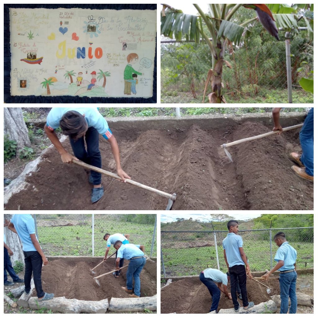 U.E. El Rosario tweet media