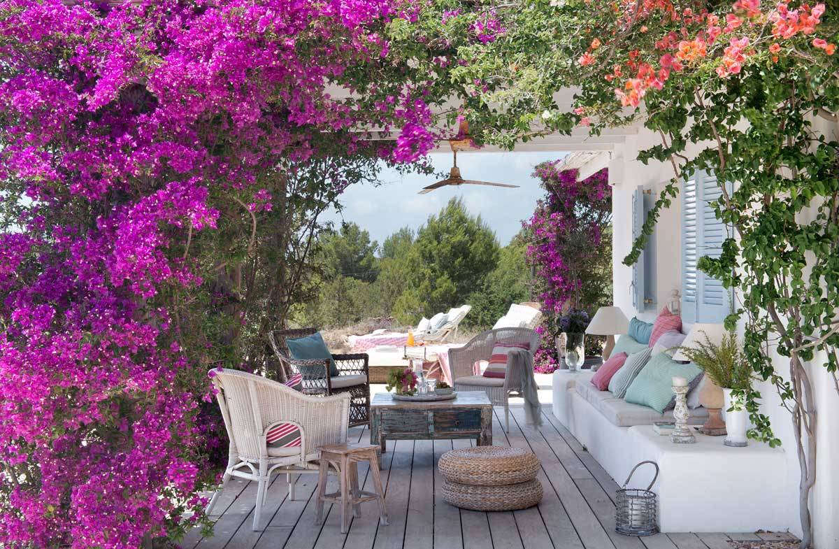 El Mueble в Твиттере: «#decotipElMueble ¿Quieres poner color a tu terraza?  La Buganvilla es una planta trepadora de verano que llenará las paredes de  su intenso tono rosáceo. ¡Precioso! #elmueble #plantas #plantasdeverano #