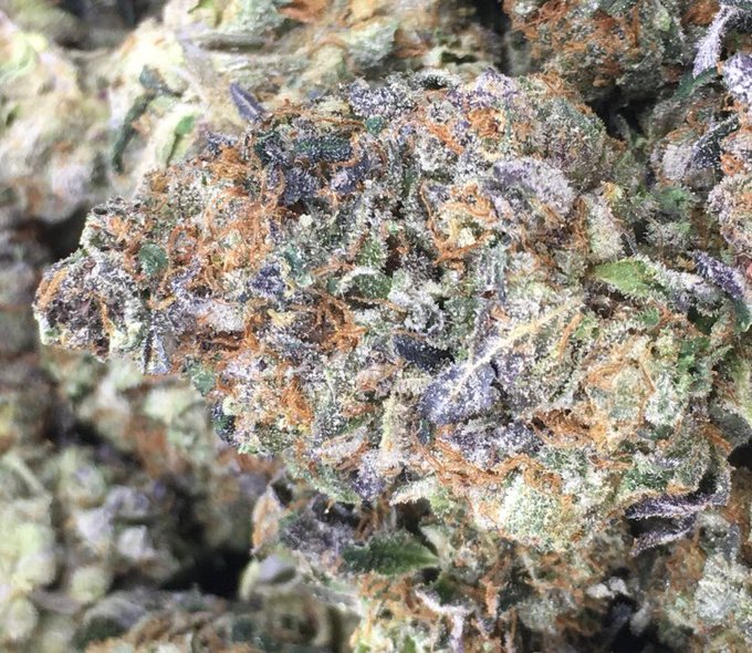 Whatchu love more #weed or #porn??? #retweet this https://t.co/H4MWcrJTjo<a href="/tag/weed"class="tags">#weed</a><a href="/tag/porn"class="tags">#porn</a><a href="/tag/retweet"class="tags">#retweet</a>