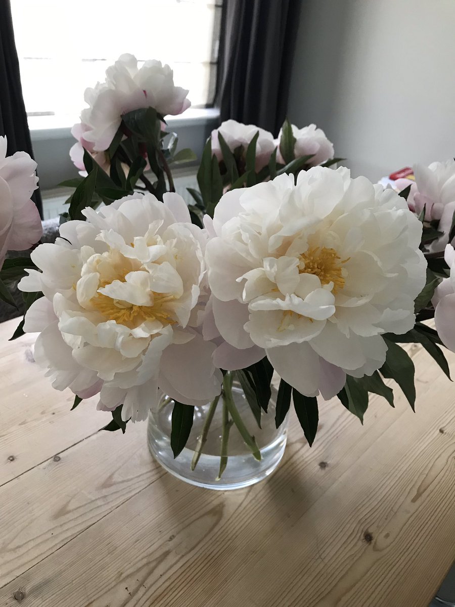 HetKoolwitje's tweet photo. Maandag 10 juni, 2de Pinksterdag is Het Koolwitje extra open can 13.00-16.00 uur. Kom gezellig naar Buren! https://t.co/qoKbttxNca