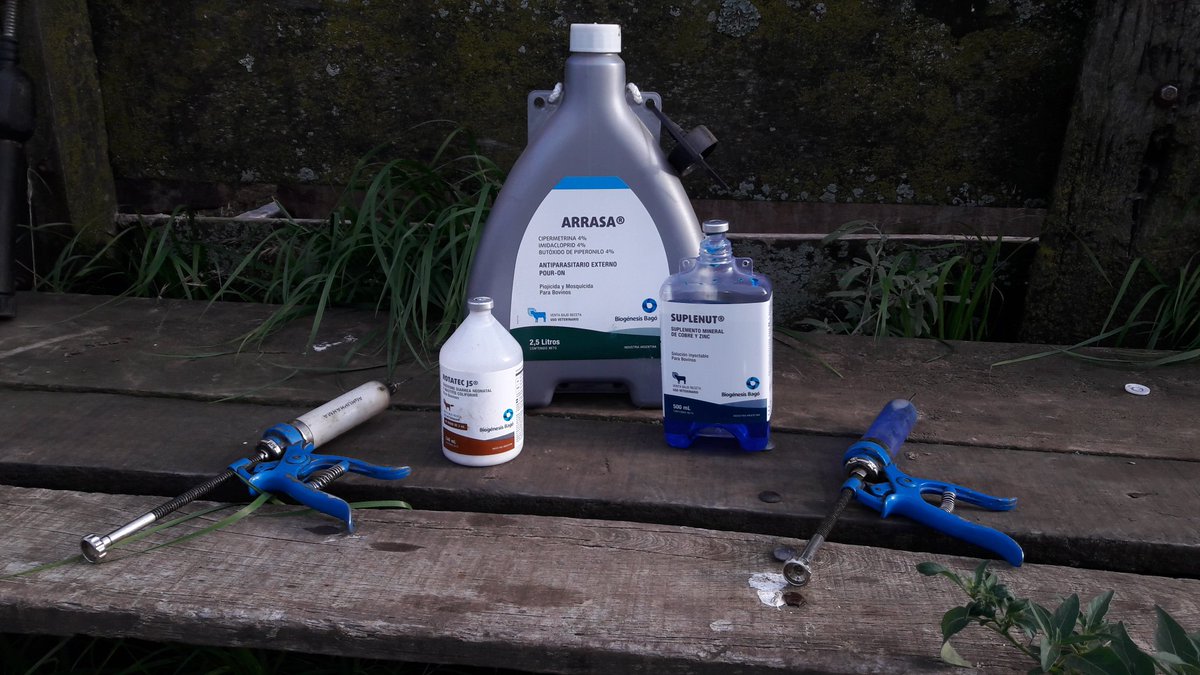 EzequielBellocq's tweet photo. Correcta sanidad de campaña en la vaca preparto!!!👌👍👍 #biogenesisbago #Suplenut #Arrasa #RotatecJ5 @biogenesisbago https://t.co/ZLS27r2gYz