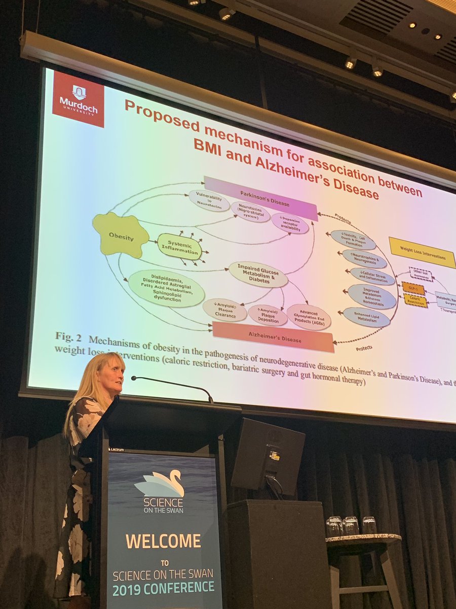 Dr_RLLoo's tweet photo. Profs Jeremy Nicholson amd Elaine Holmes kicked off Day 2 talks at the Science on the Swan #SOTS2019, #Metabonomics, #diets, #aging https://t.co/Gu4xuhbaRP