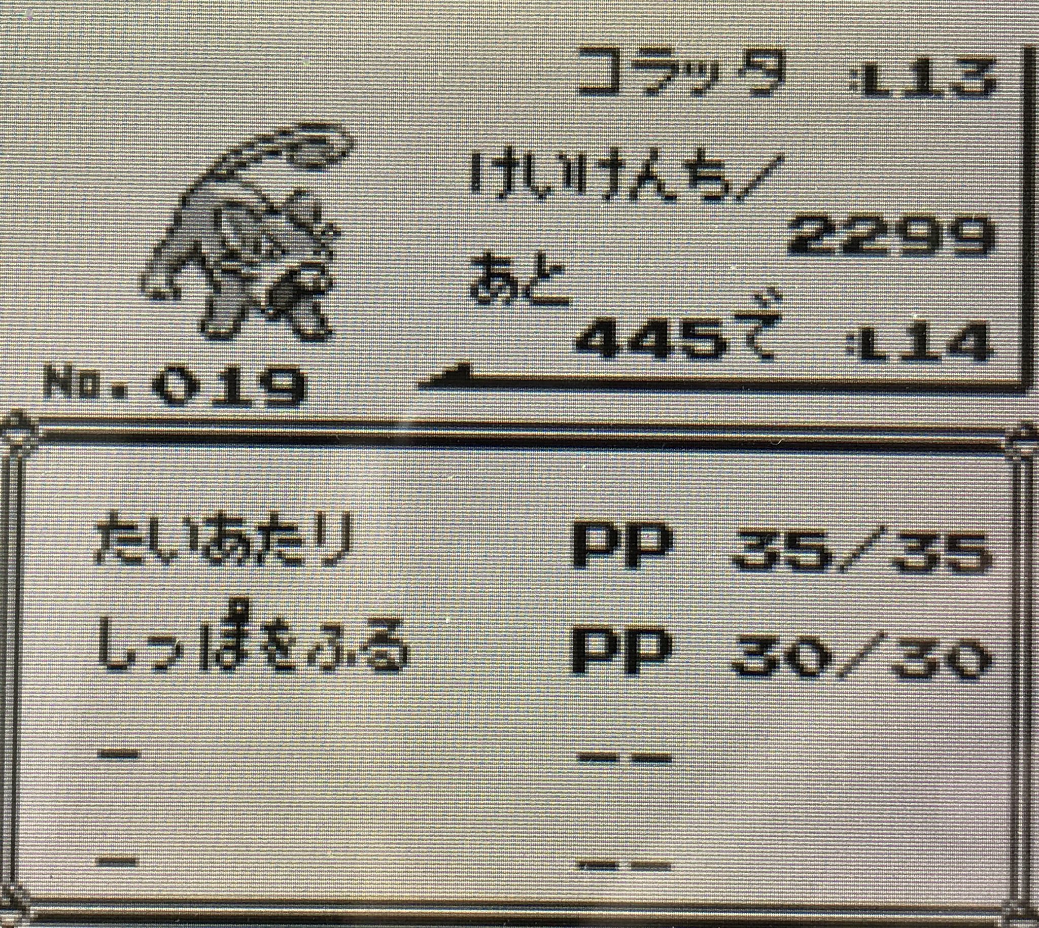 しっぽをふる Twitter Search Twitter