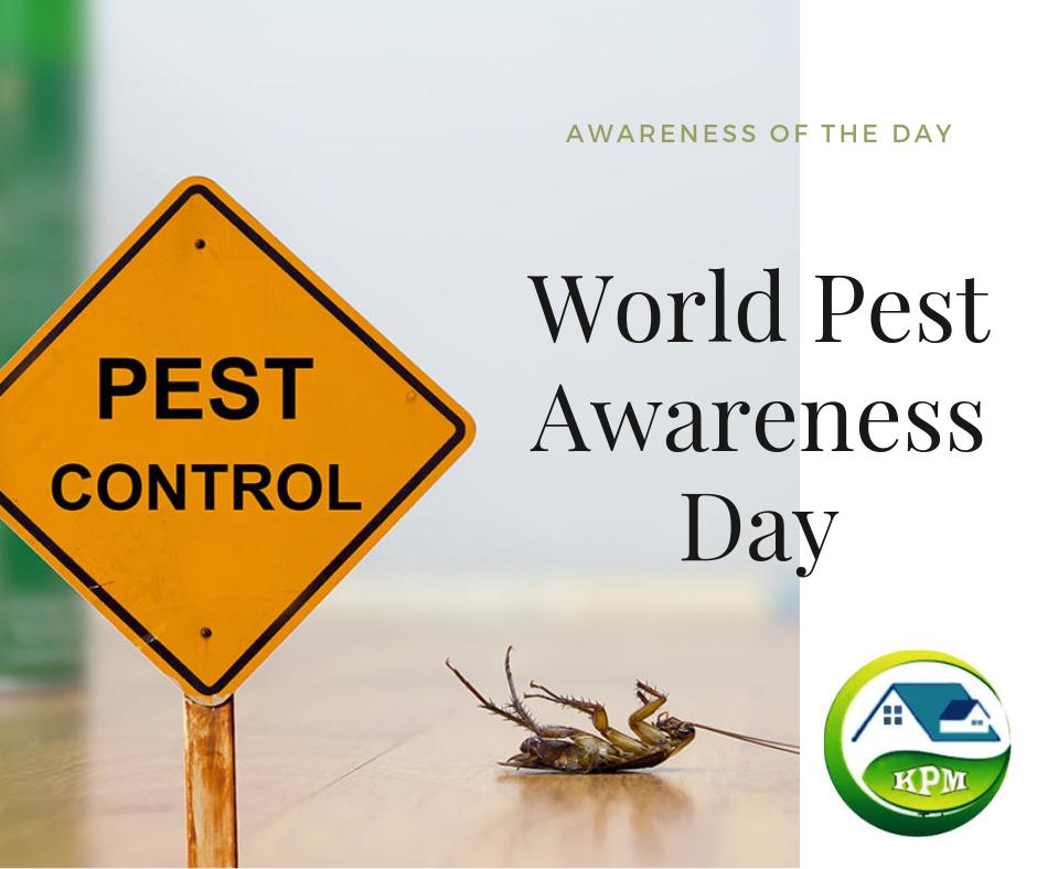 kpestmaster's tweet photo. Post on World pest day:-

The 6th June 2017 has been declared World Pest Awareness Day to serve as a reminder of how professional pest management helps protect our quality of life.

For more Information:- https://t.co/R3RLi7VMv7
#wordpestawarenessday https://t.co/hBHfhRs5iO