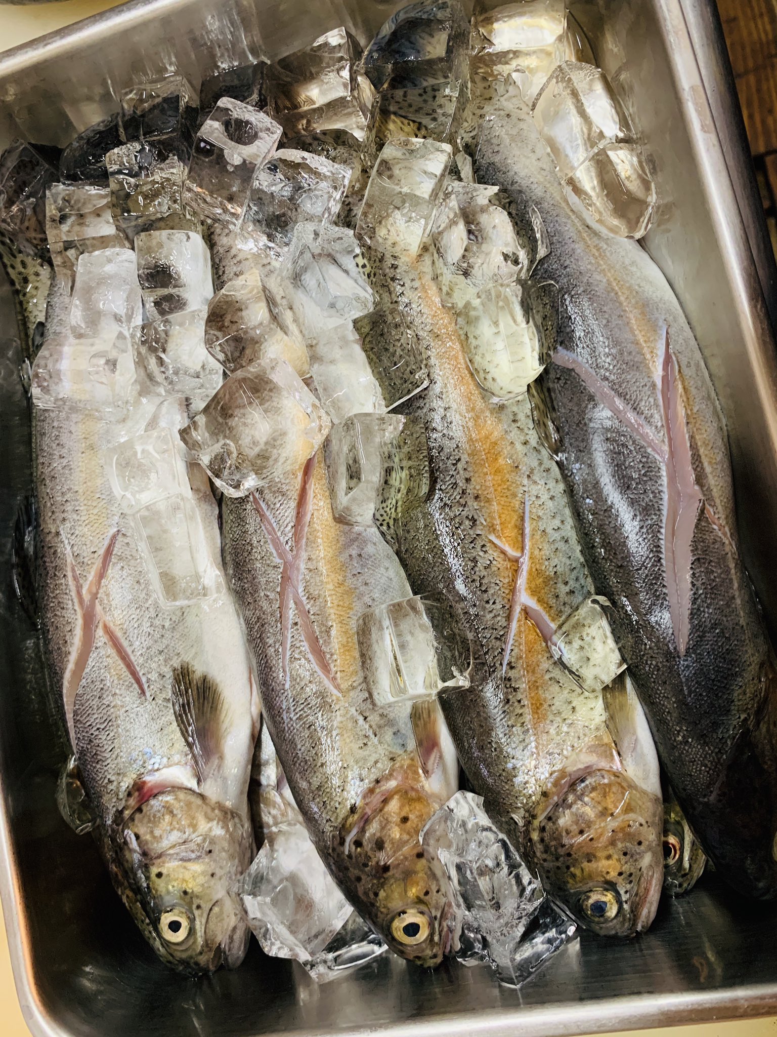 東伏見ひょうたん 本日 限定ニジマスの塩焼きございます ٩ ๑ ꇴ ๑ 皆さまのご来店お待ちしております 東伏見 ひょうたん ランチ 定食 昼呑み ランチ ニジマス塩焼き T Co Kjdrarxlfy Twitter