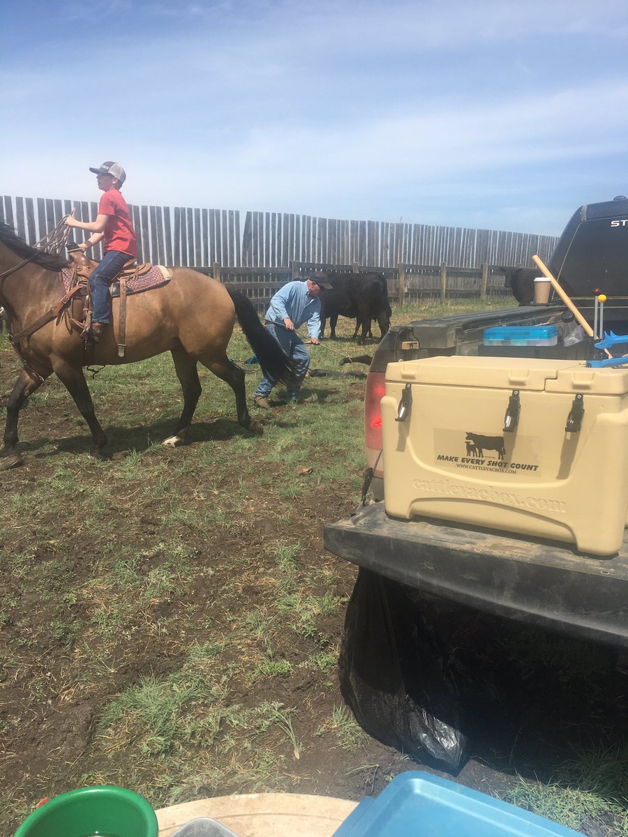 Anchor J in Hemaruka, Alberta was the recipient of a Cattle Vaccination box this year, looks like it was put to good use!
<a href="/UFAcooperative/">UFA Co-operative</a>