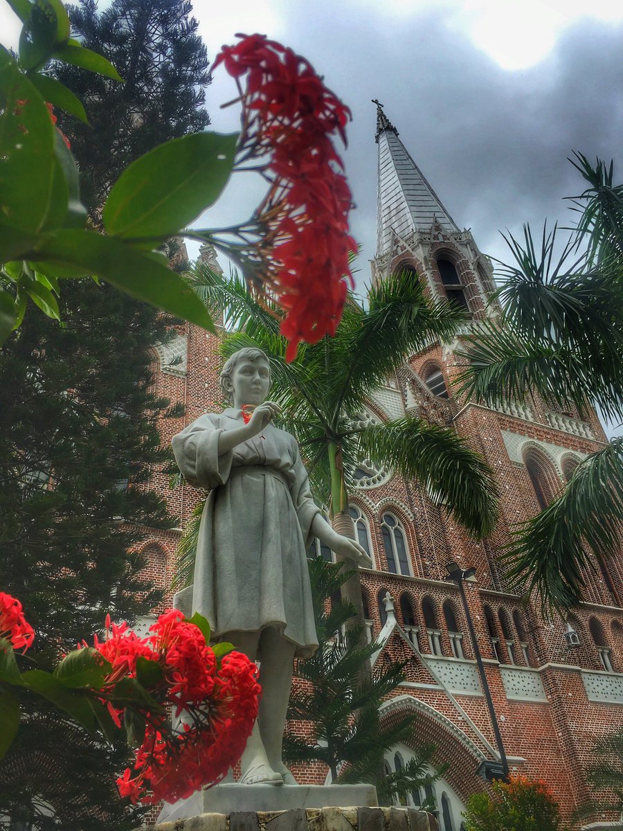 Moe Yan Lay (@yan_lay1) on Twitter photo 