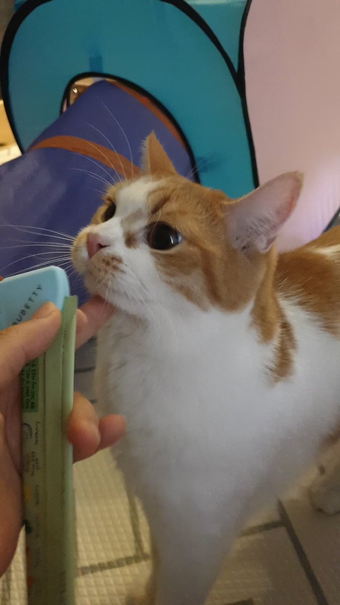 엄청난 집중력 ㅋㅋㅋ