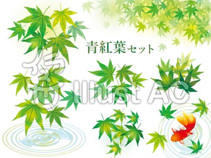 フリー素材配布 無料イラストレーター イラストac Illustac 無料画像グラフィックデザイナー 夏 青紅葉水彩画手書き和風もみじイラスト葉イラスト No 無料イラストなら イラストac T Co Pud4m9qu02 フリー素材 無料イラスト 無料