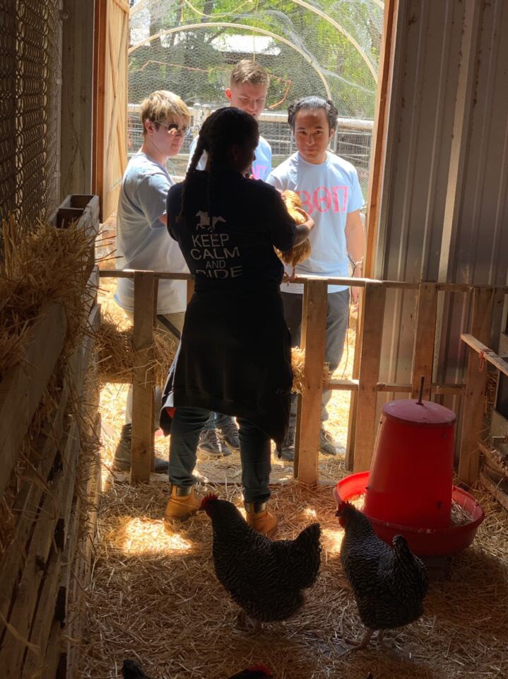 Beta Theta Pi - University of New Mexico tweet media