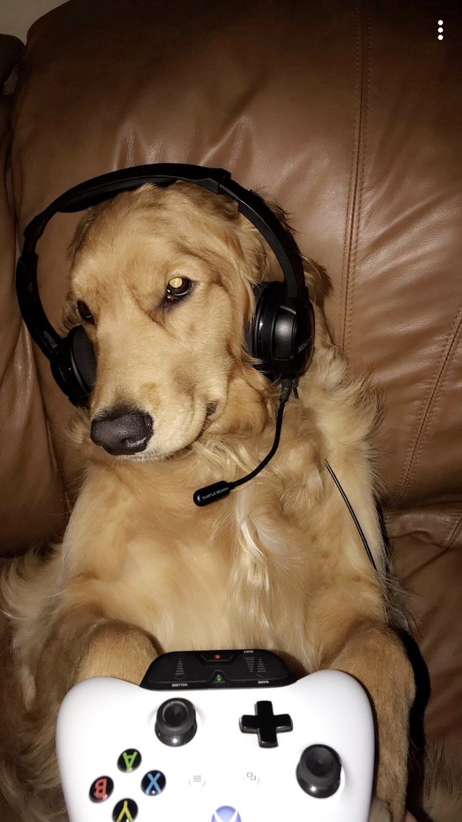 razorxfactor's tweet photo. @OldRowTwitch where we dropping? https://t.co/6fQYW4MTmE