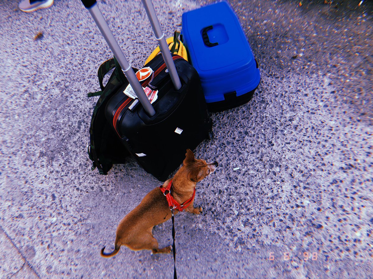 Biz tatile gidiyoruz. 🔥