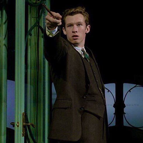 天海 テセウス スキャマンダー 魔法動物学者ニュート スキャマンダー の8歳年上の兄で英国魔法省闇祓い局局長 第一次世界大戦で活躍して戦争の英雄と呼ばれている ハグが好き な可愛いらしい一面もあるテセウス スキャマンダー どうか最後まで