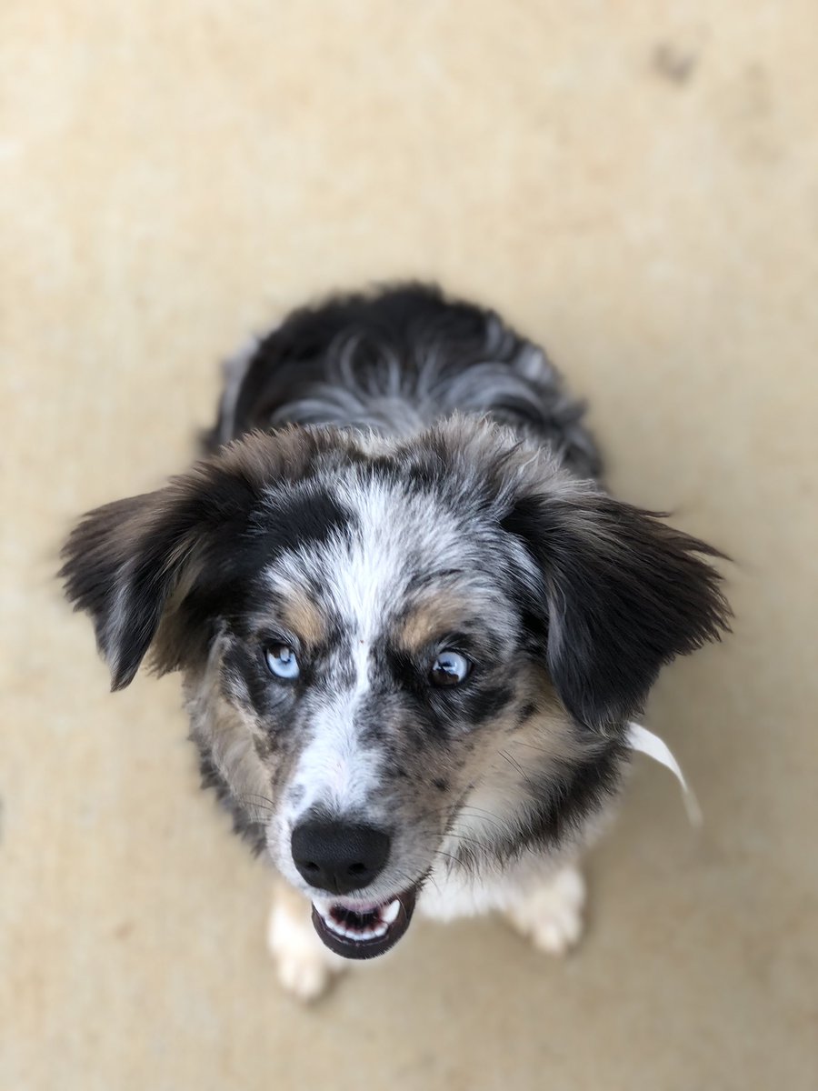 EmilyMilllller's tweet photo. i took these pictures at work today. enjoy!! https://t.co/zx3mpLAcMw