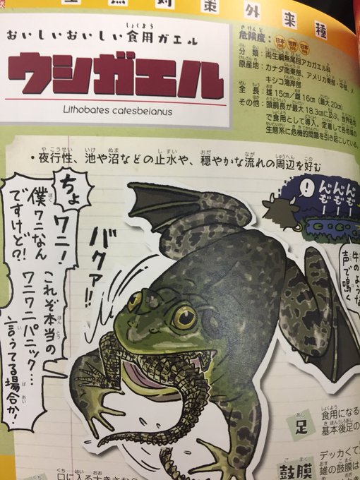 カエルの日 を含むマンガ一覧 古い順 ツイコミ 仮 カエルの日 を含むマンガ一覧 古い順 ツイコミ 仮